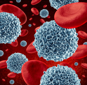 Immune System 