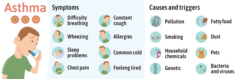 What Causes Asthma?