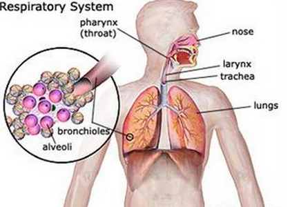 What Is Hypersensitivity Pneumonitis Black Kletz Allergy