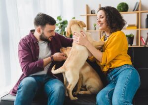 Update on Pet Allergies
