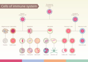 Immunity and Allergy